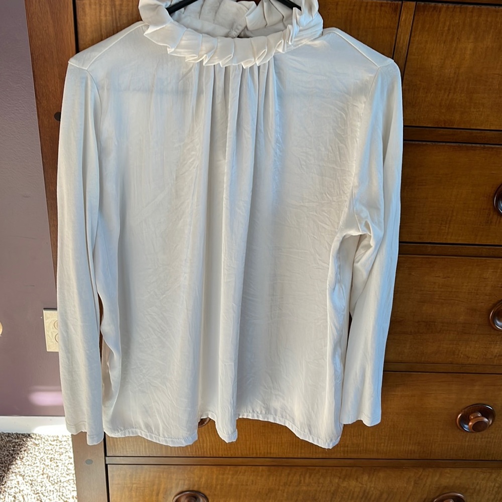 Worn ONCE Banana Republic Blouse